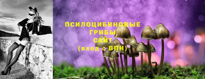 Галлюциногенные грибы Psilocybe  Остров 